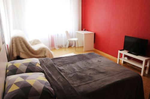 トムスクにある"GOOD NIGHT" on Lytkina 12-2の赤い壁のベッドルーム1室(ベッド1台、テレビ付)
