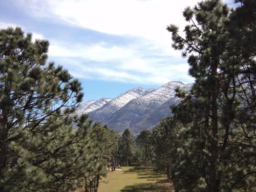 a view of snow covered mountains through the trees at Bosques de Monterreal in Mesa de las Tablas