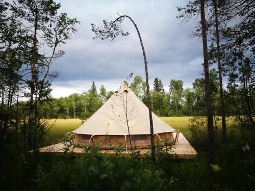 エストニアで人気のラグジュアリーテント10軒 Booking Com