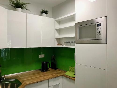 Kuchyň nebo kuchyňský kout v ubytování Apartmán FRANZ