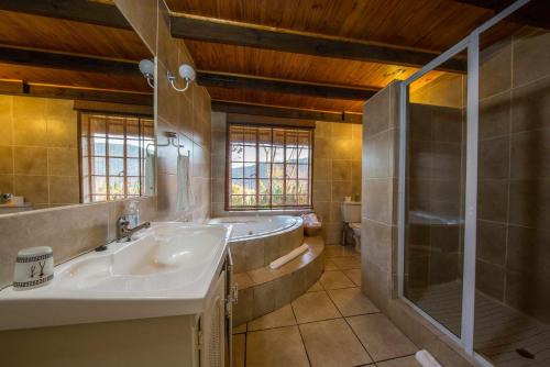 uma casa de banho com uma banheira, um lavatório e um chuveiro em Lions Rock Rapids - Lodge em Hazyview