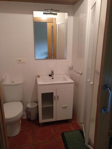 a bathroom with a toilet and a sink and a mirror at Casa da Ponte in Ferreira
