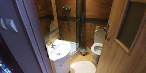 a bathroom with a sink and a toilet at Pokoje Gościnne Polo in Częstochowa