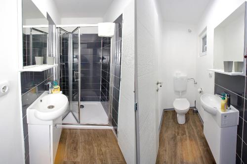 a bathroom with a sink and a toilet and a shower at Mobile homes Olive and Sea in Bibinje