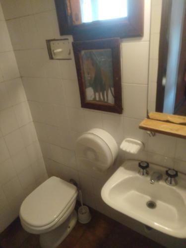 a bathroom with a toilet and a sink at Universal Traveller's Hostel in San Carlos de Bariloche