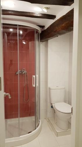 a bathroom with a toilet and a glass shower at Apartamentos-Bermeo in Bermeo