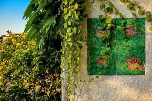 Gallery image of Quietness La Quiete in Vico Equense