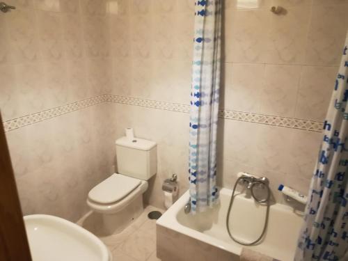 y baño con aseo, lavabo y ducha. en Pensión Residencia Universitaria Rey, en Santiago de Compostela