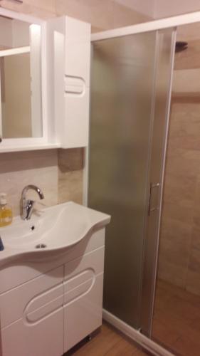 La salle de bains est pourvue d'un lavabo et d'une douche. dans l'établissement Holiday House Vale Verde, à Korenica