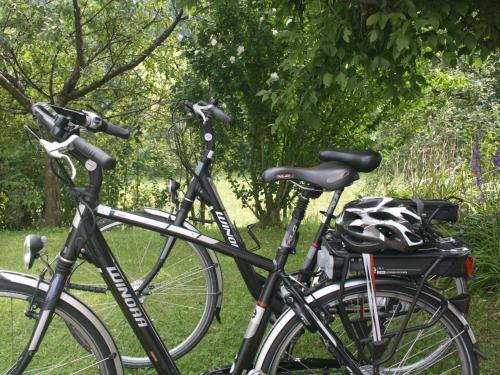 two bikes parked next to each other in the grass at Sonnenhaus Grandl in Feldbach