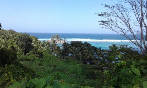 a view of the ocean from a hill with trees at SeyBreeze Villa in Anse Royale