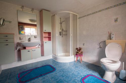 een badkamer met een toilet, een douche en een wastafel bij Pirschenhof in Gschnitz