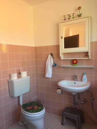 a bathroom with a toilet and a sink at Ferienwohnung Globetrotter in Horstmar