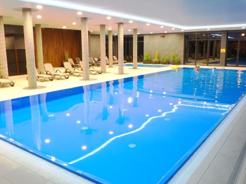 Swimmingpoolen hos eller tæt på Apartment B1 by Interhome