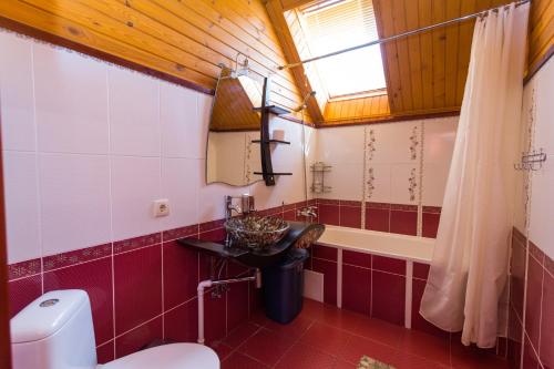 a bathroom with a toilet and a sink and a tub at Gostynnyi dim Zatyshok in Dyyda