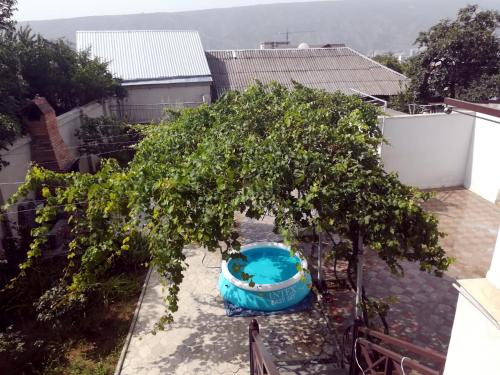 an apple tree in a yard with a pool at Leon in Tbilisi City