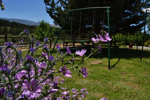 a park with purple flowers in front of a swing at Hospedium Hostal Almanzor in Navarredonda de Gredos