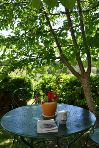 a blue table with a flower pot and a cup on it at Hospedium Hostal Almanzor in Navarredonda de Gredos