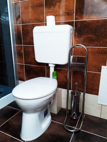 a white toilet in a bathroom with a hose at Hőforrás Wellness Vendégház in Egerszalók