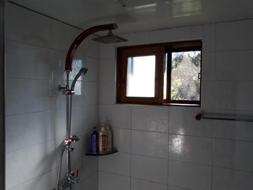 een douche in een badkamer met een raam bij Suncheonbay Stay in Suncheon