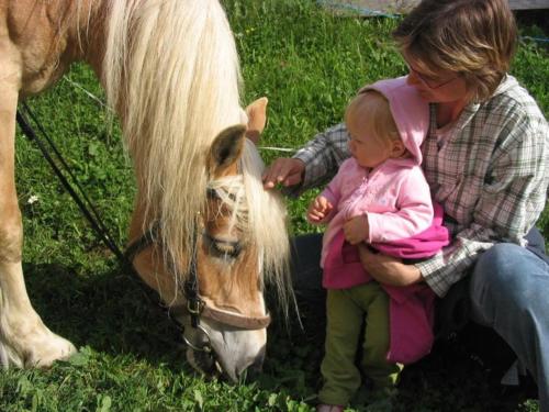 a woman holding a baby looking at a pony at Hansalagut in Mauterndorf