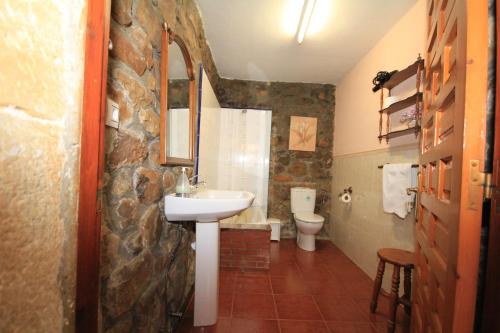 a bathroom with a sink and a toilet at La Llosa II in Villaviciosa