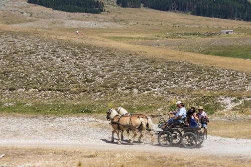 a group of people riding on a horse drawn carriage at Alloggio del Fiume - Le Vecchie Vasche in Scoppito
