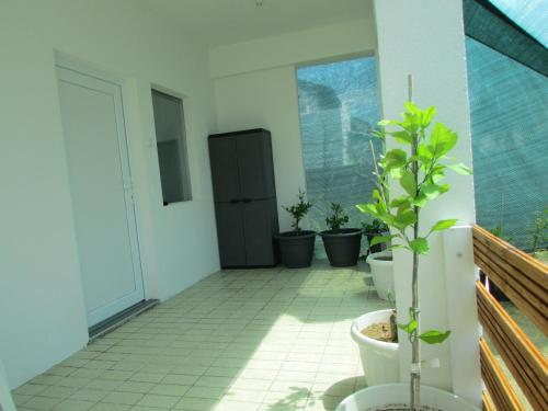 Φωτογραφία από το άλμπουμ του Sunset1, free private parking, pets welcome σε Privlaka