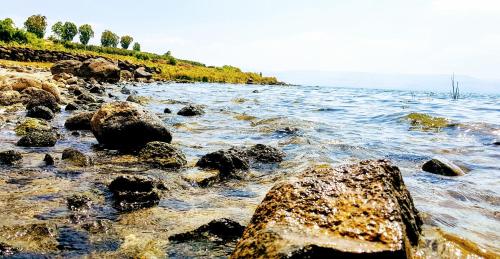 Φυσικό τοπίο κοντά σε αυτό το διαμέρισμα
