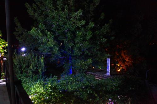 Perakhorio的住宿－George's Villa，花园的夜景