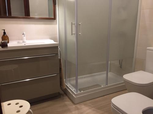 een badkamer met een douche, een toilet en een wastafel bij Apartamento turístico en pleno centro de Ferrol in Ferrol