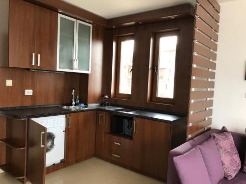 Cuina o zona de cuina de Apartment Slantse