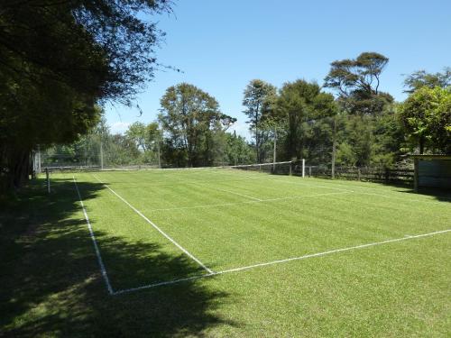 a tennis court with a net on a field at Thorold Country House in Thames