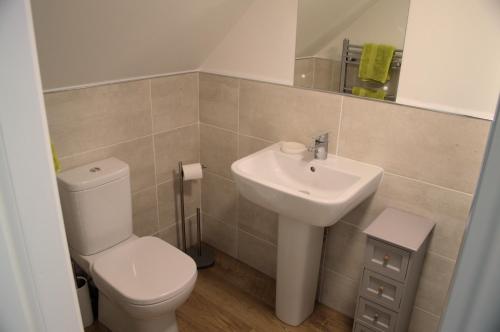 a bathroom with a white toilet and a sink at Rosemount Bothy - Highland Cottage in Garve