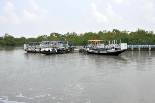 three boats are docked at a dock in the water at Royal Sundarban Wild Resort in Jharkhali