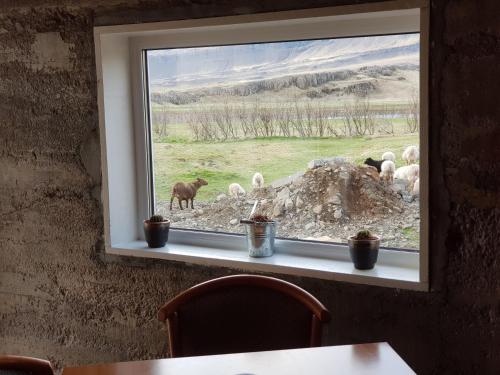 a window with a view of animals in a field at Bragdavellir Cottages in Djúpivogur