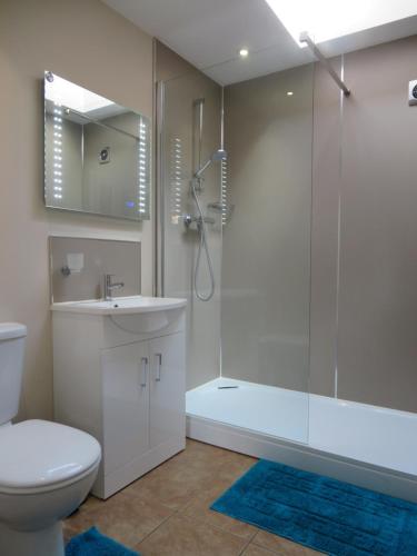 y baño con ducha, aseo y lavamanos. en The Mendip is on cheddar bridge Apartments en Cheddar