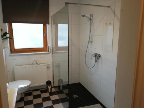 a bathroom with a toilet and a glass shower at Apartment am Park - Erica in Schneverdingen