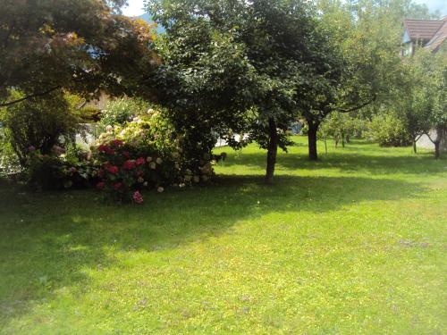 Fotografie z fotogalerie ubytování Apartment Japka v destinaci Bovec
