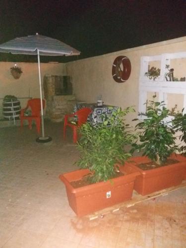 un patio con due piante e un ombrellone di Casa Delle Rose a Porto Cesareo
