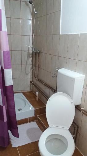 La salle de bains est pourvue d'une douche et de toilettes blanches. dans l'établissement Casa Calix, à Băile Govora