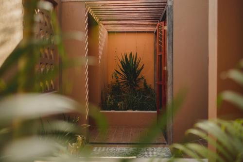 a mirror reflection of a door with plants in it at Casa 5 Bed & Breakfast in Palenque