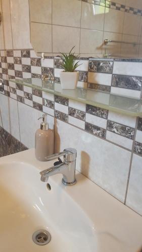 a bathroom sink with a soap dispenser on it at Bajusz Vendégház in Tornyosnémeti