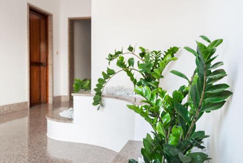 Fotografie z fotogalerie ubytování Casa da Ida v destinaci Lecce