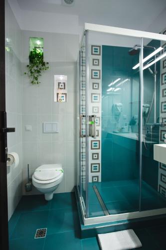 a bathroom with a toilet and a glass shower at Gorgeous Villa in Cluj-Napoca