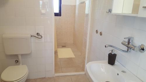 a bathroom with a toilet and a sink and a shower at Apartment Stanko in Ližnjan