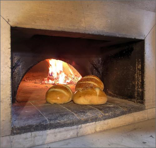 Fotografie z fotogalerie ubytování Glamping resort Fešta Kornati v destinaci Pristanišće