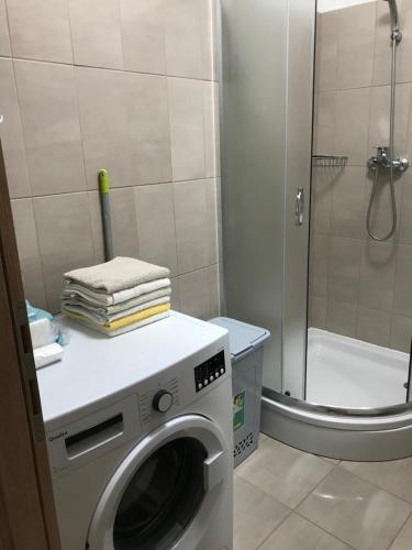 Et badeværelse på Apartman Mirjana