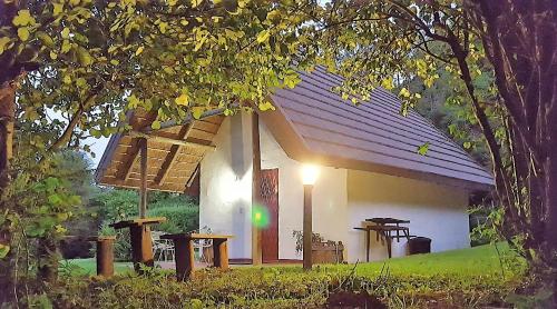 Κήπος έξω από το Wild Forest Inn