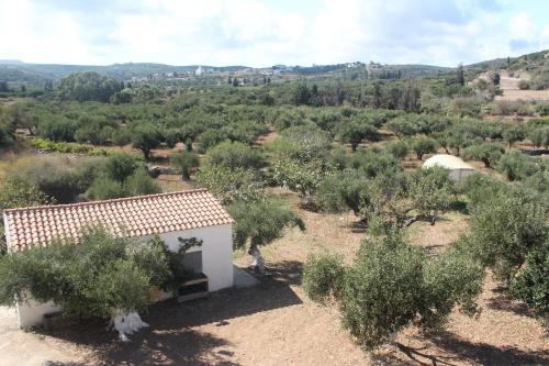 Gallery image of Theofilos Appartements in Livadi
